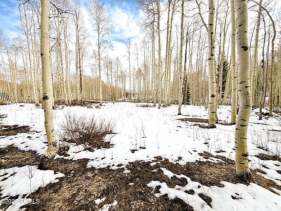 5th image of 5384 N Rocky Rd
