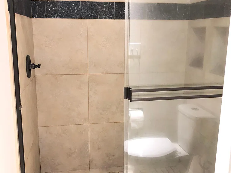 Upgrade Master Bathroom shower