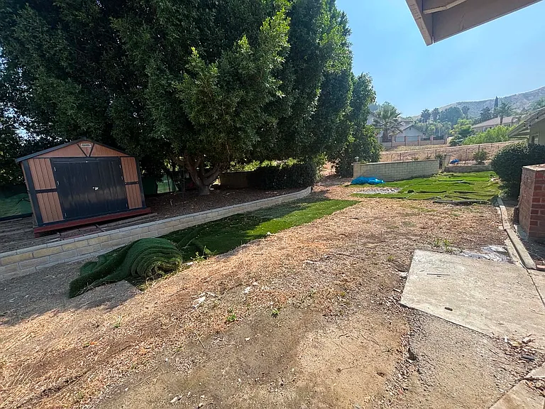 Backyard