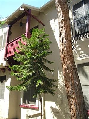 1st image of 1329 N Vista St APT 105
