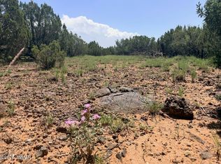 8831 Supancheck Rd, Show Low, AZ 85901