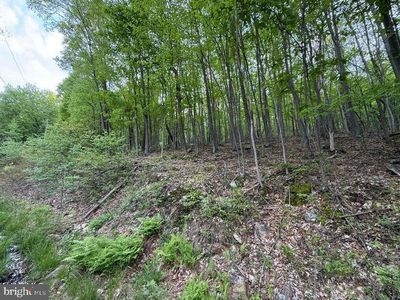 0 Cherry Run Rd, Bedford, PA, 15522