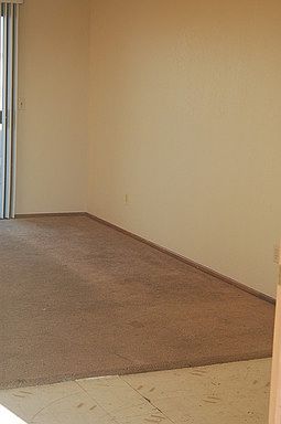 4th image of 1200 Regency Dr APT 3