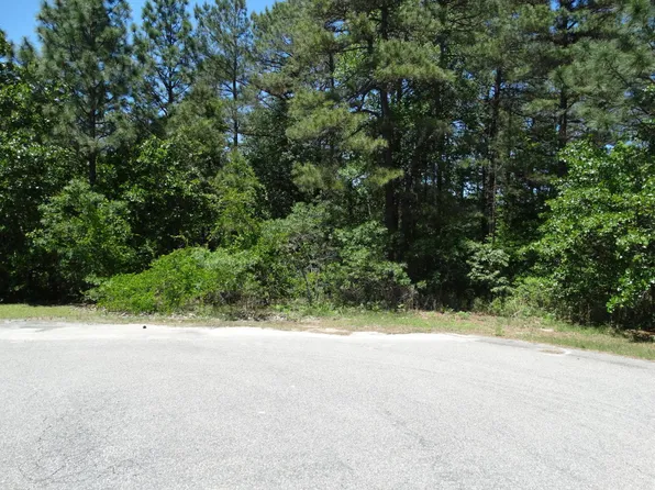 7 Brassie Cir, Jackson Springs, NC 27281