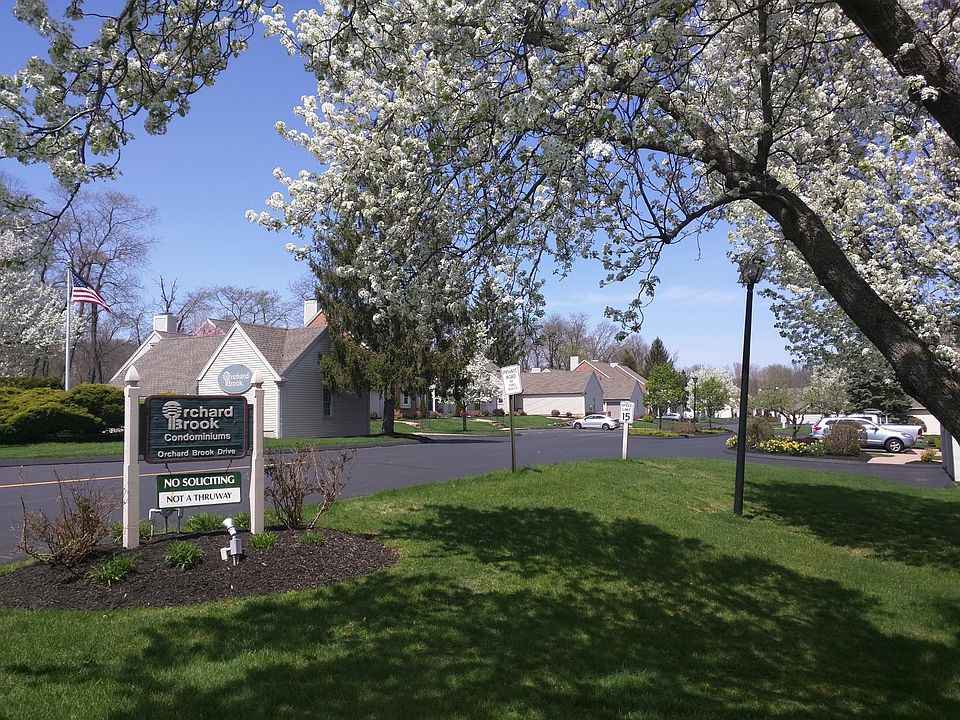 Orchard Brook Complex