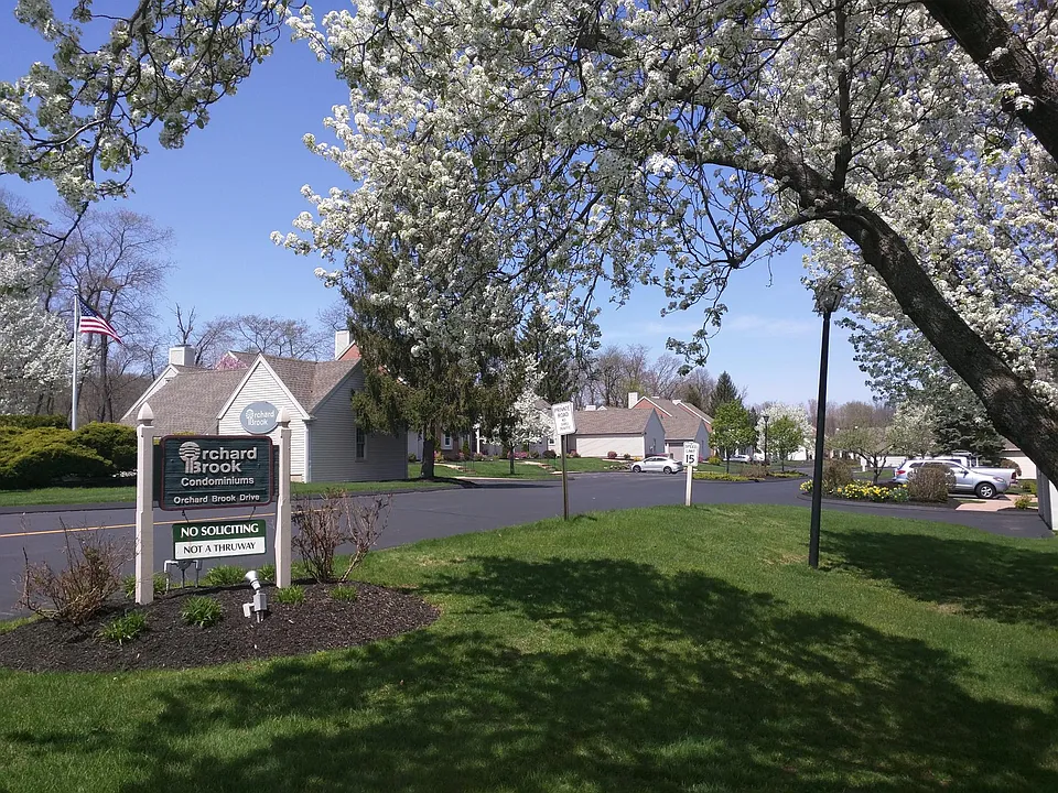 Orchard Brook Complex