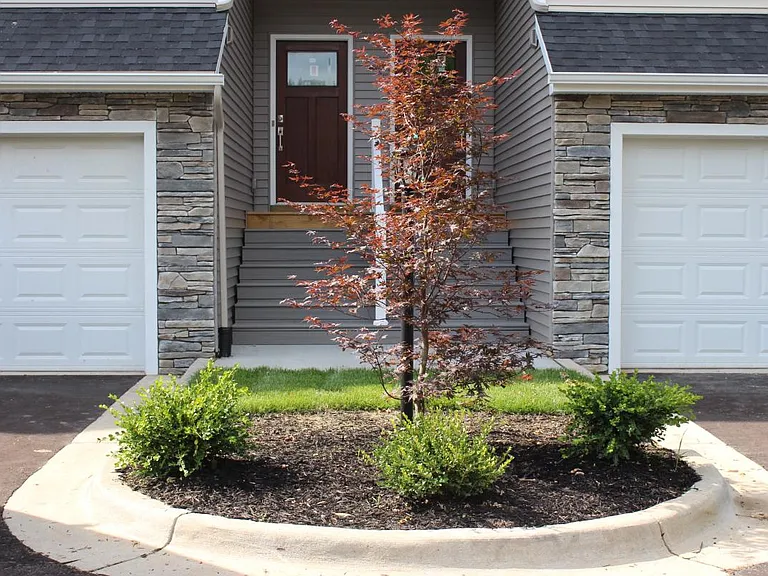 Front Elevation