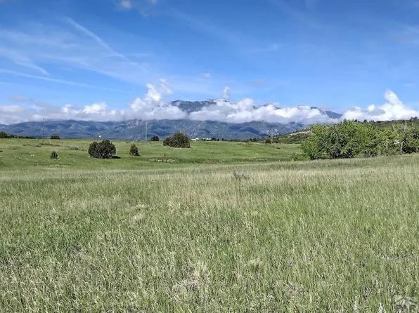 317 Arnold Ln, Colorado City, CO 81019