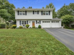 11 Burnham Pl, Flanders, NJ 07836