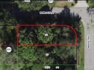 205 Hemlock St, Inverness, FL 34452