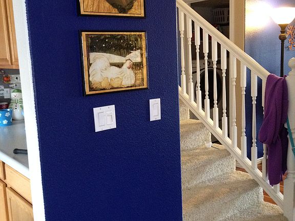 Inside Living Area Color