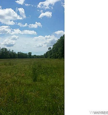 1st image of 0 Tonawanda Creek Rd