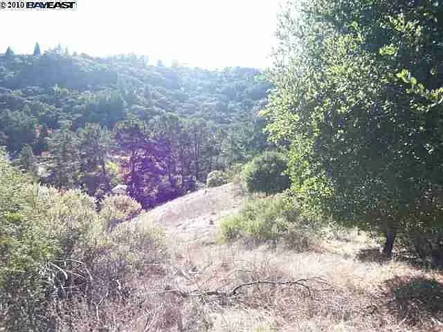 241 Orchard Rd photo 1