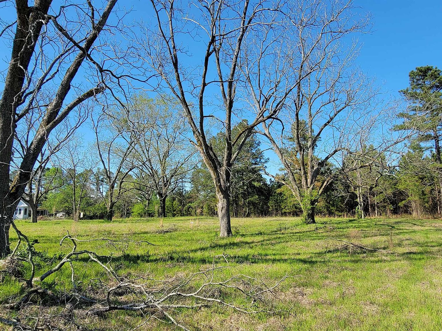 0 Idylwild Dr, Wrightsville, GA 31096 Zillow