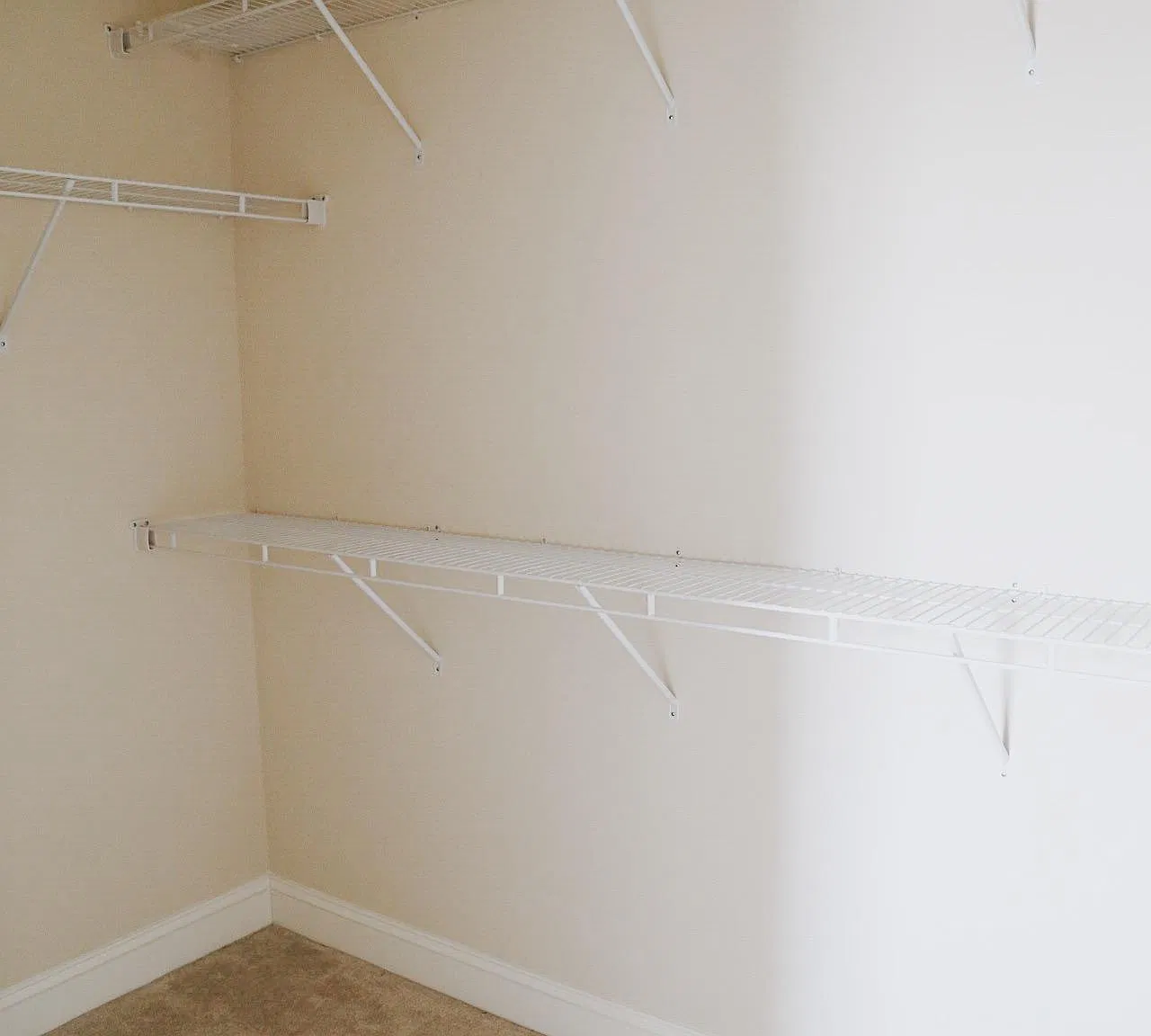 3 bed, 2100 sqft, $3,100 — Photo 3