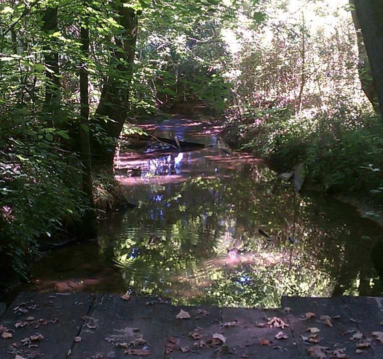 2nd image of 370 Kirby Ln