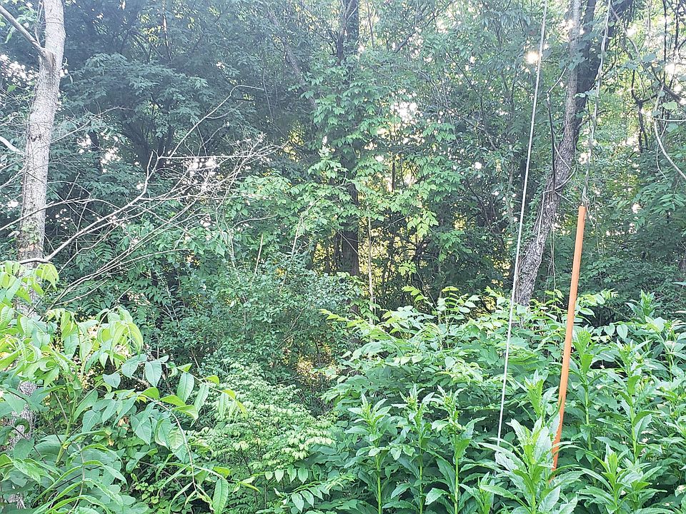 2nd image of 1113 Taylor Ln