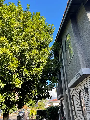 5026 Rosemead Blvd #G Photo 1 5026 Rosemead Blvd #G Photo 1