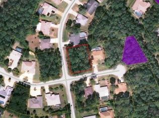 1 Washwick Pl, Palm Coast, FL 32164