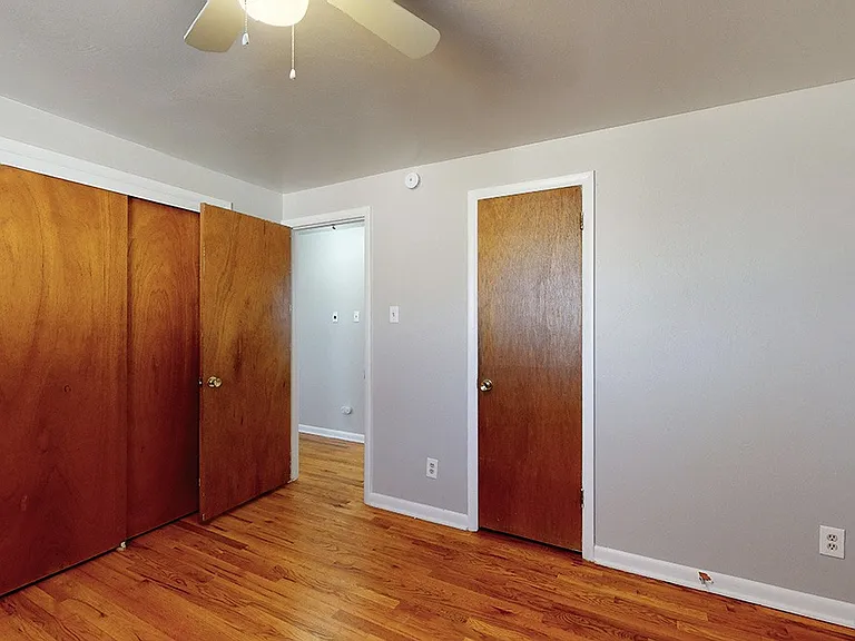 Jellison — Photo 6