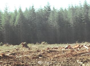 0 S Military Rd #X, Winlock, WA 98596