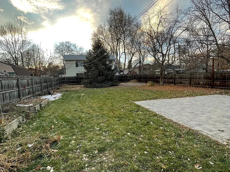 Big back yard.