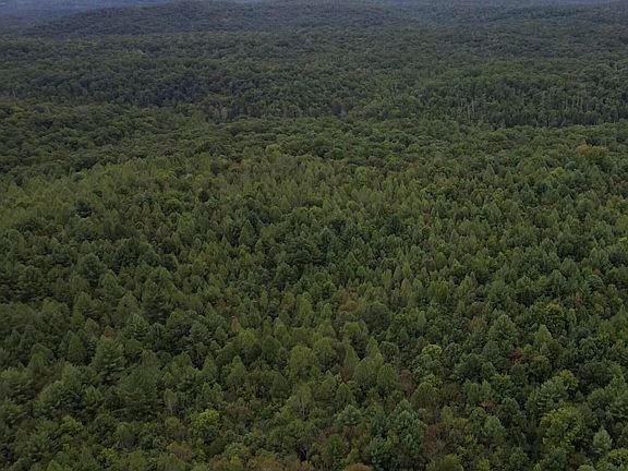 3rd image of 0 Mount Helen Rd #0