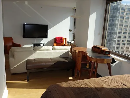 Rented by Platinvm Property Group New York | media 15