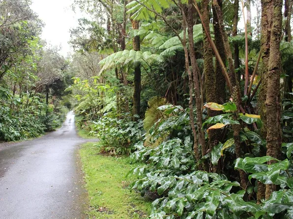 6th St Lot 549, Volcano, HI 96785