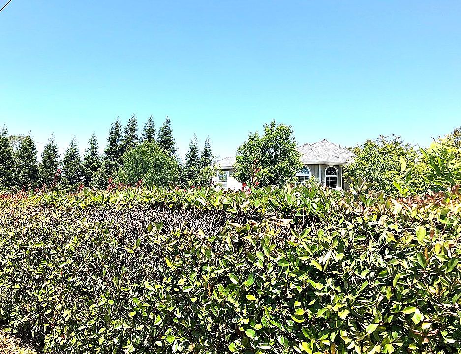 2nd image of 11691 Clay Station Rd
