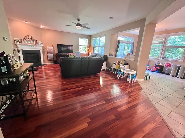 Family Room - Current-Picture 1