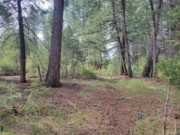 7726 S Settlers Drive, Morrison, CO 80465