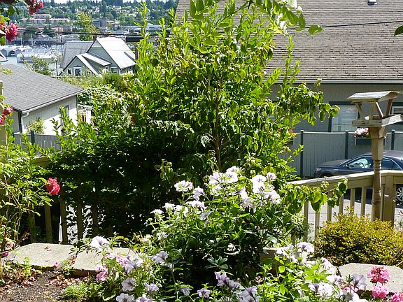 4th image of 105 W Bay Dr NW