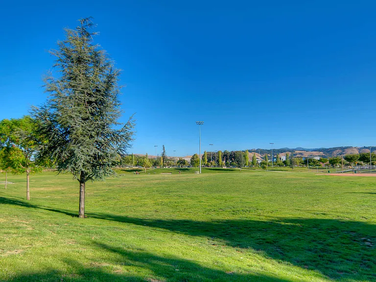 Neighborhood Parks