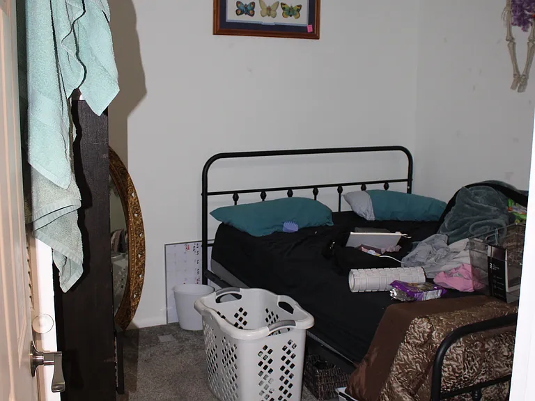 3078 Wesley Powell Dr #1 — Photo 60