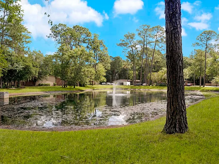 Pelican Pointe — Photo 10