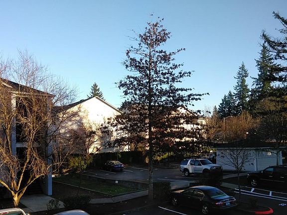 Foster Plaza Grounds