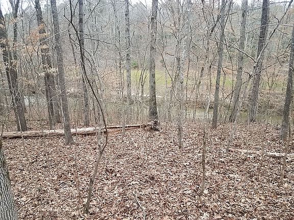 3rd image of COTTON Indian Creek RD