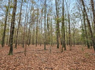 927 Hunter Rd, Ellaville, GA 31806