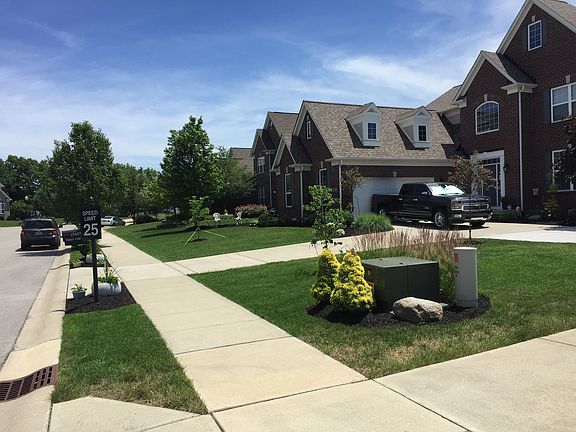 More New Landscaping