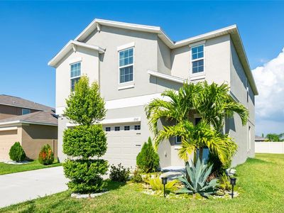 17112 Yellow Pine St, Wimauma, FL, 33598