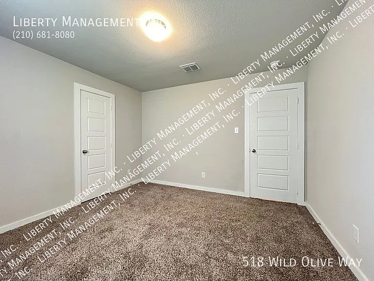 518 Wild Olive Way — Photo 27