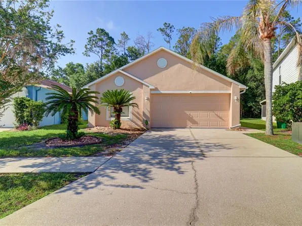 30316 Double Dr, Wesley Chapel, FL 33545