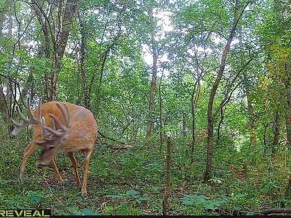 5th image of XXX State Rd 93