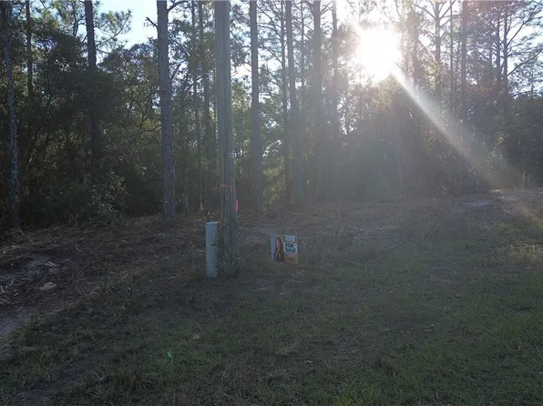 3882 W Fireside Ln, Citrus Springs, FL 34433