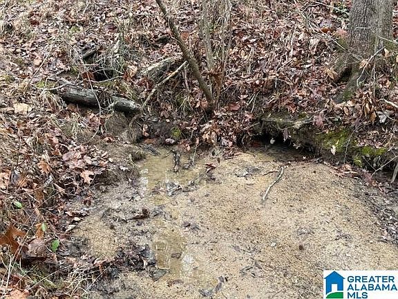 5th image of 2611 Oaks Chapel Rd