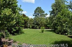 Park like front yard