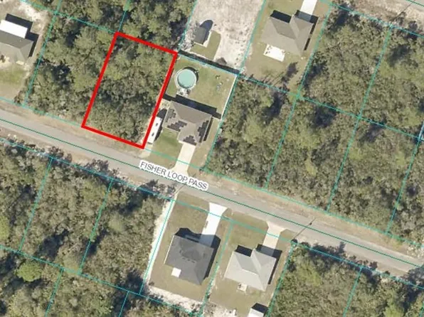 Fisher Loop Pass #7, Ocklawaha, FL 32179