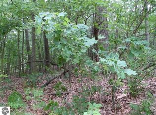 1053 Carmen Dr, Weidman, MI 48893