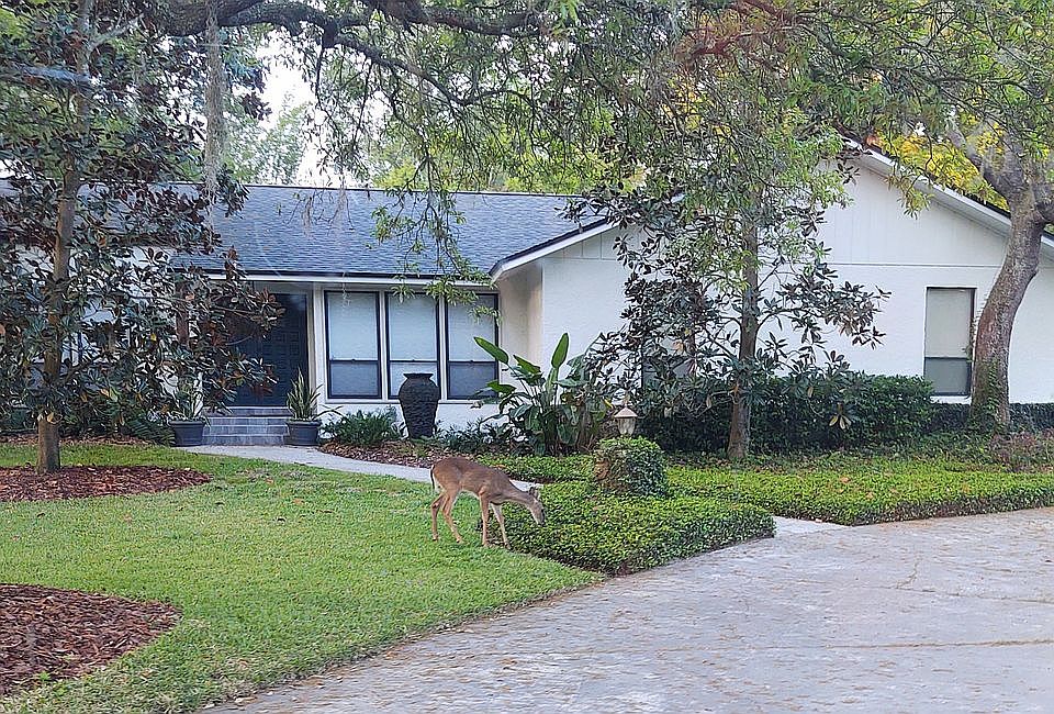 1st image of 111 Wild Fern Dr